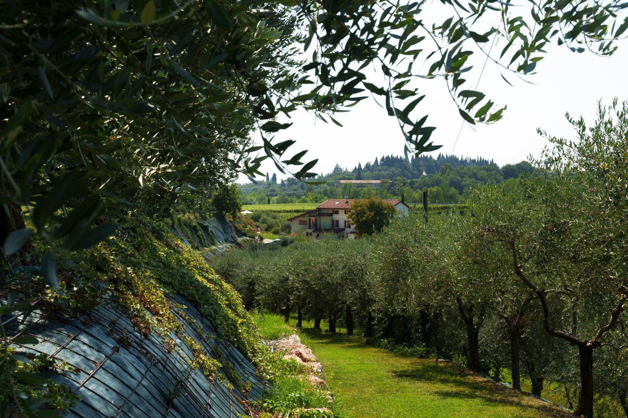 Bed and Breakfast Residenza Vesentini Pastrengo Exterior foto